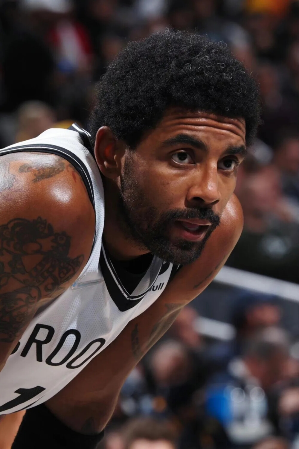 关注的原因 关注的原因