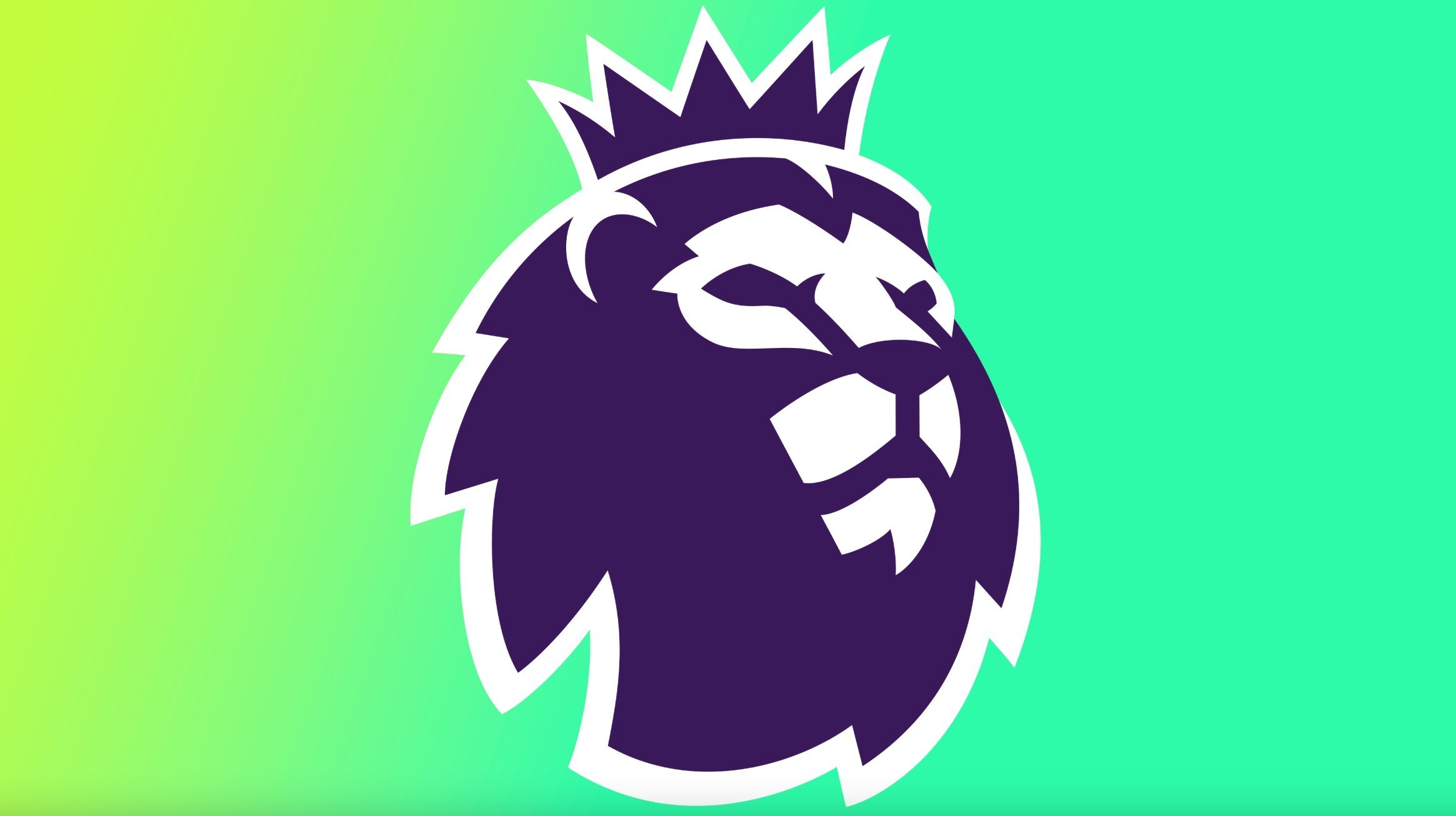 情感神经 情感神经